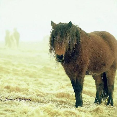 Efri-Gegnisholar Hotel Selfoss Luaran gambar
