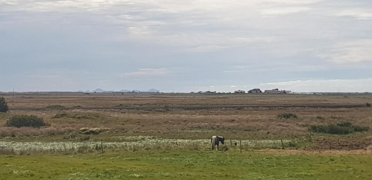 Efri-Gegnisholar Hotel Selfoss Luaran gambar