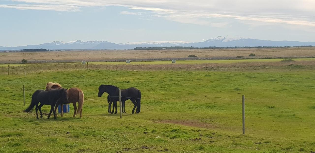 Efri-Gegnisholar Hotel Selfoss Luaran gambar