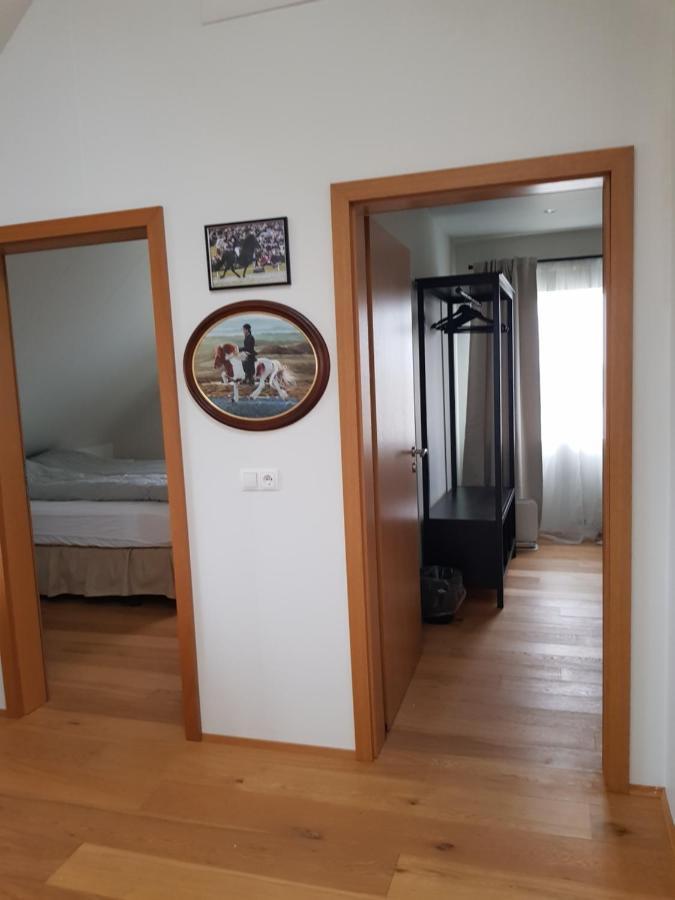 Efri-Gegnisholar Hotel Selfoss Luaran gambar